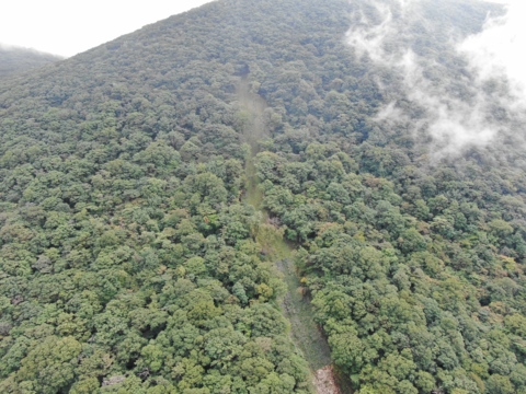 鍋割地区復旧治山工事(R4補正)